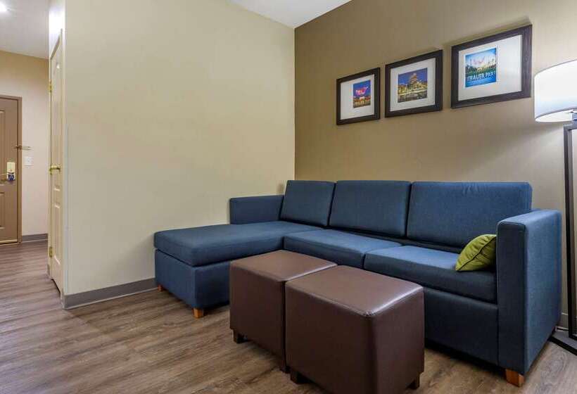 فندق Comfort Inn & Suites High Point  Archdale