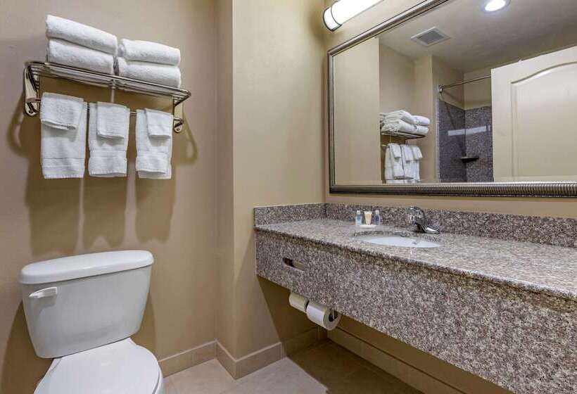 فندق Comfort Inn & Suites High Point  Archdale