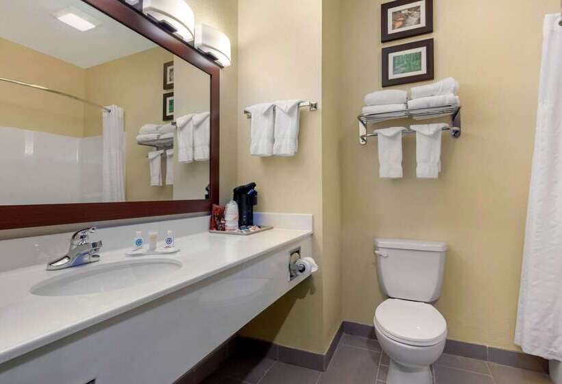 فندق Comfort Inn Us 60 63