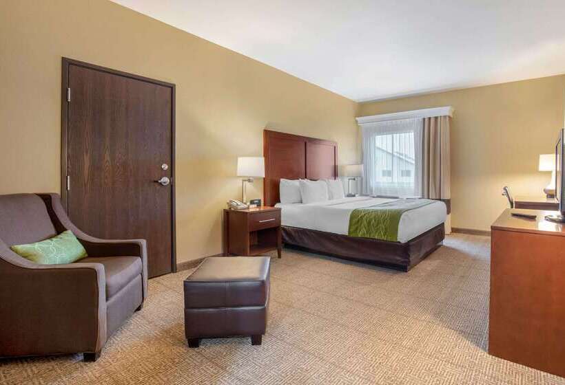 فندق Comfort Inn Us 60 63
