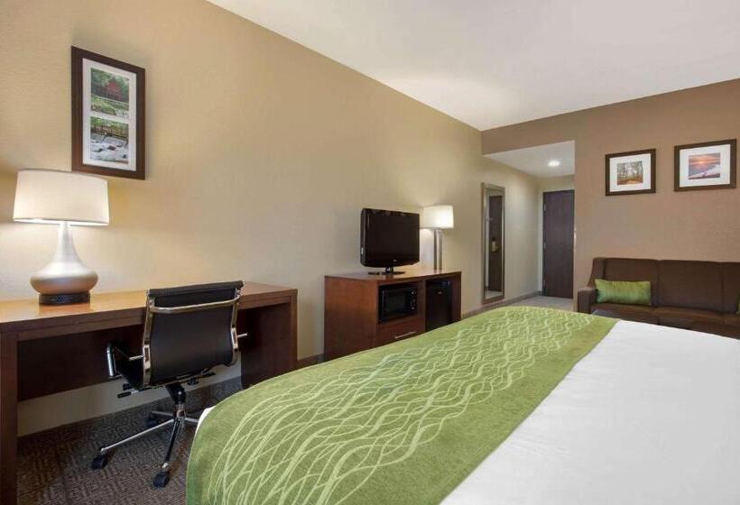 فندق Comfort Inn Us 60 63