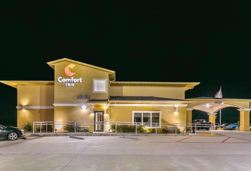 فندق Comfort Inn Us 60 63