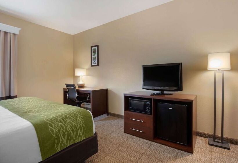 فندق Comfort Inn Us 60 63