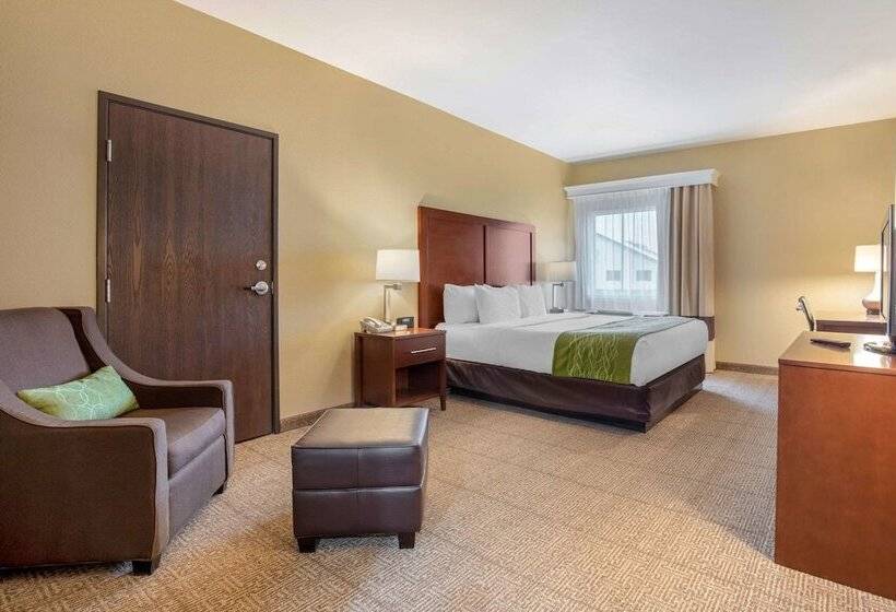 فندق Comfort Inn Us 60 63