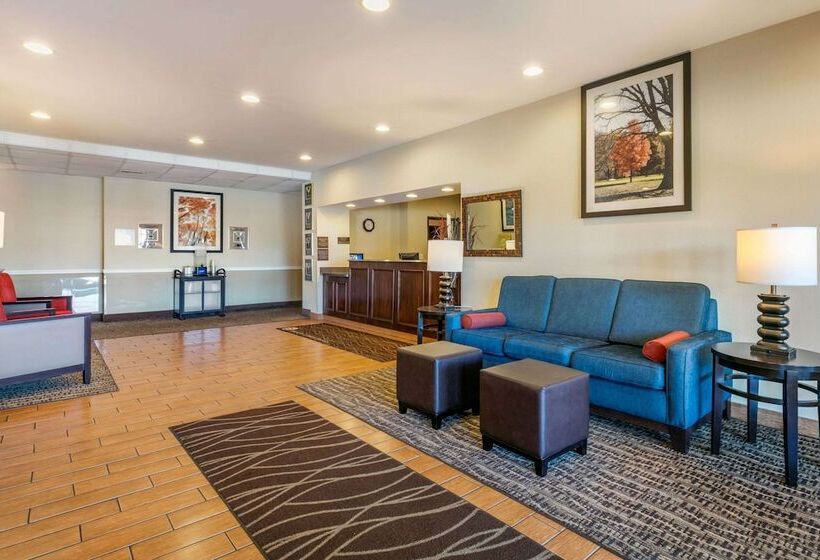 فندق Comfort Inn Us 60 63