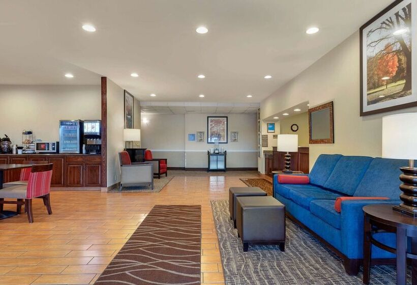 فندق Comfort Inn Us 60 63