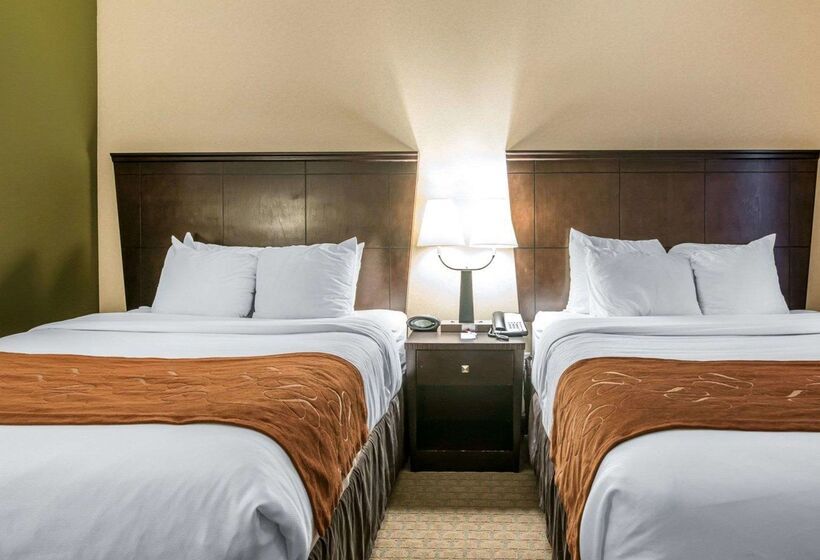 호텔 University Inn