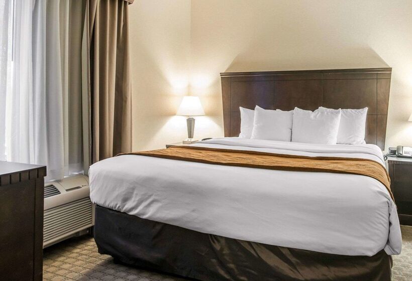 호텔 University Inn