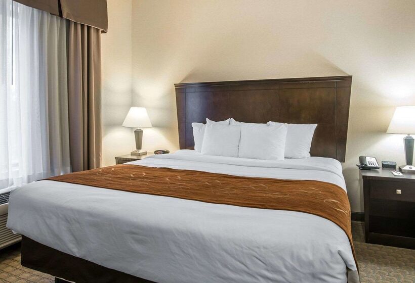 호텔 University Inn