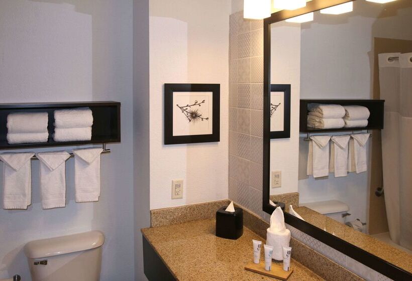 ホテル Country Inn & Suites By Radisson, Wilson, Nc