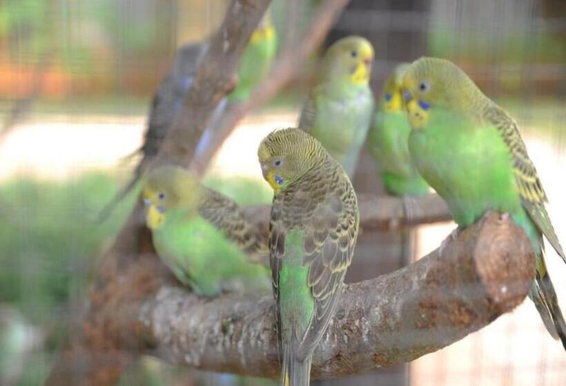 Eadry Royal Garden Hotel Haikou