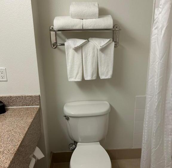 酒店 Holiday Inn & Suites   Barstow, An Ihg