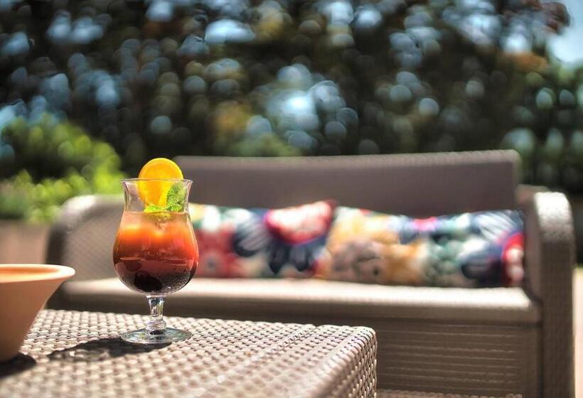 酒店 Kyriad Prestige Mulhouse Basel