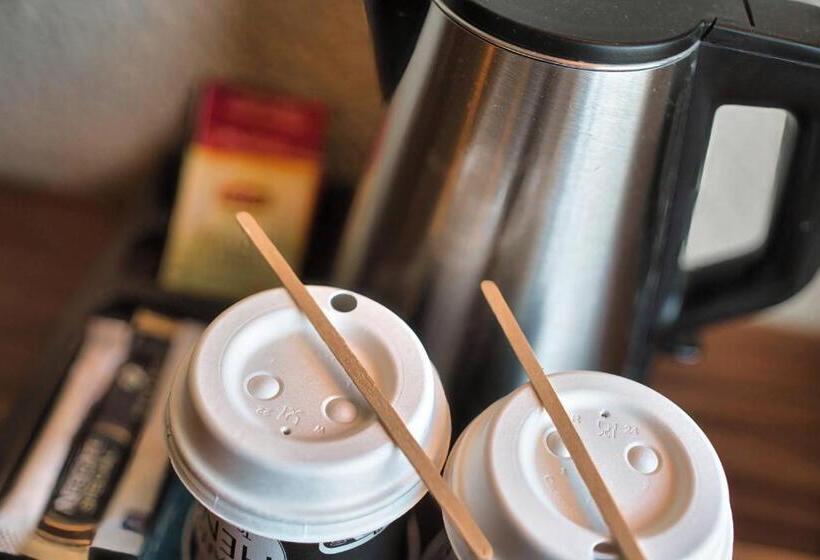 酒店 Kyriad Prestige Mulhouse Basel