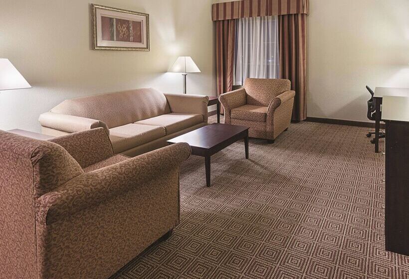 酒店 La Quinta By Wyndham Waxahachie