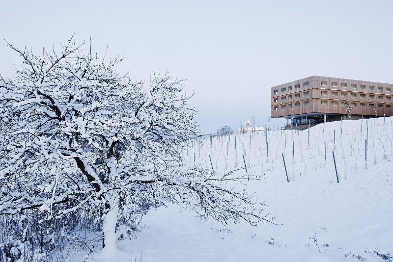 Отель Loisium Wine & Spa Resort Südsteiermark
