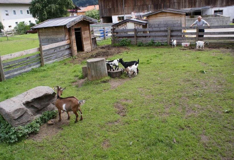 فندق Pension Traube