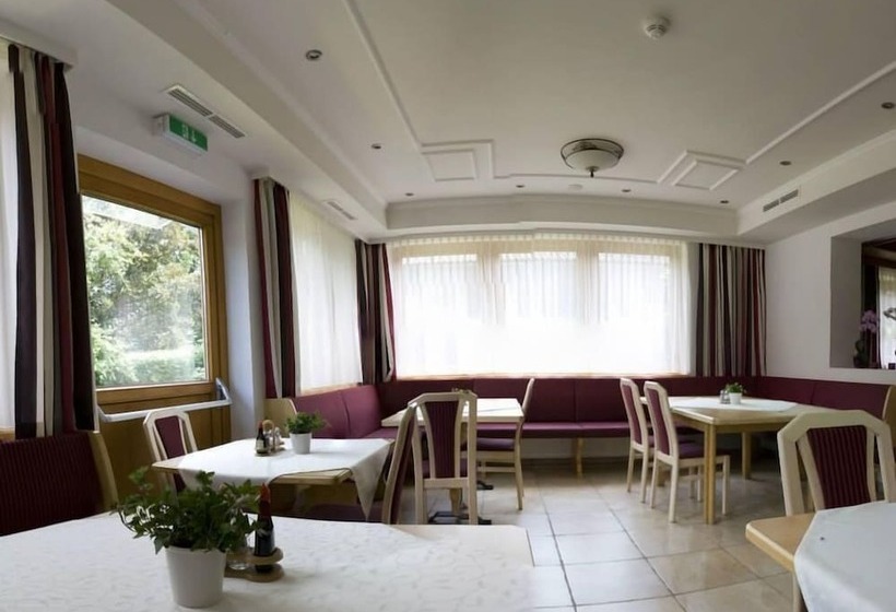 فندق Pension Traube