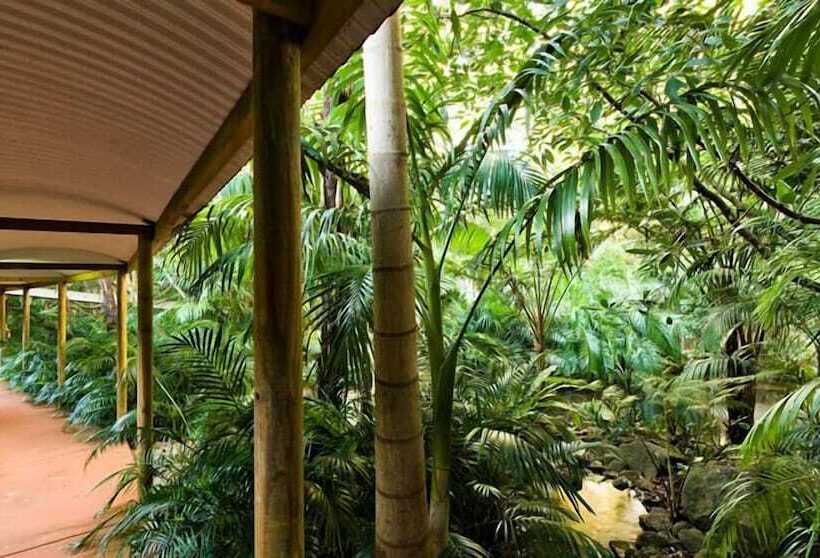 ホテル Pethers Rainforest Retreat