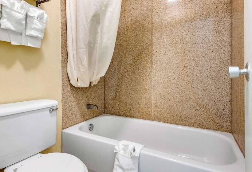 فندق Rodeway Inn