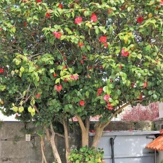 فندق Senhor De Matosinhos