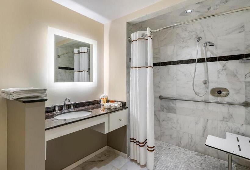 Wyvern Hotel, Ascend Hotel Collection