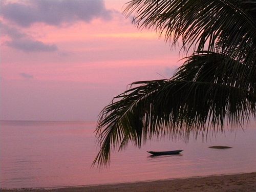 Moon Paradise Resort