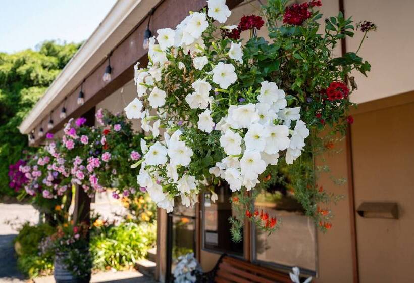 فندق على الطريق Columbia Gorge Inn