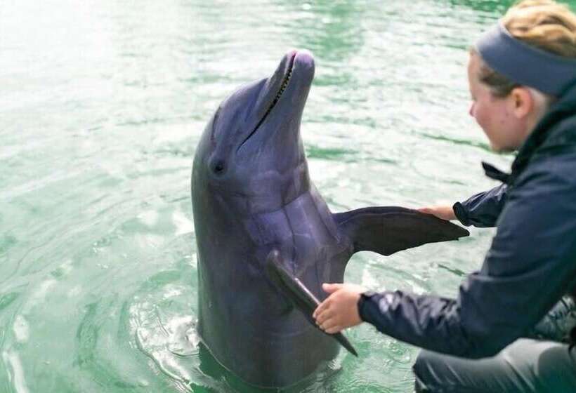 Villas At Hawks Cay Resort