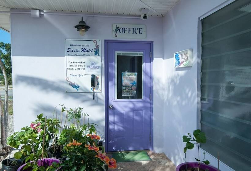 Siesta Motel