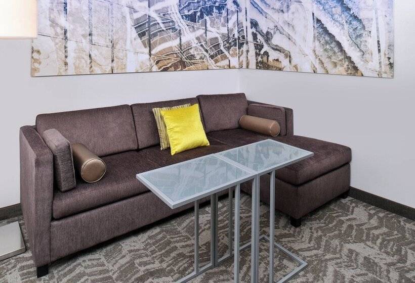 Springhill Suites By Marriott Detroit Metro Airport Romulus