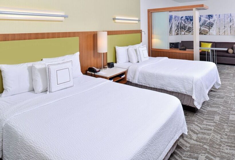 Springhill Suites By Marriott Detroit Metro Airport Romulus