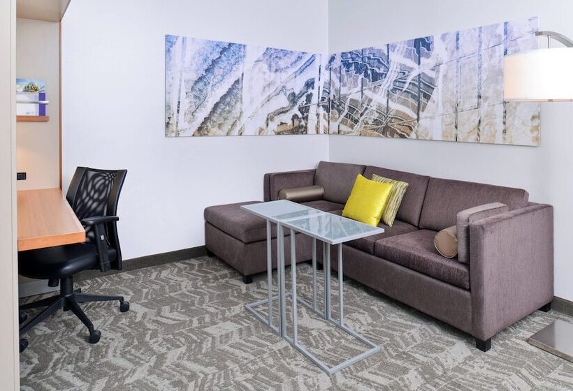 Springhill Suites By Marriott Detroit Metro Airport Romulus