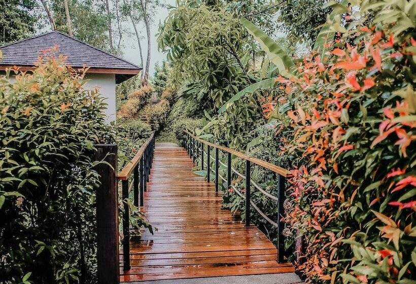 אתר נופש The Mangrove By Blu Monkey