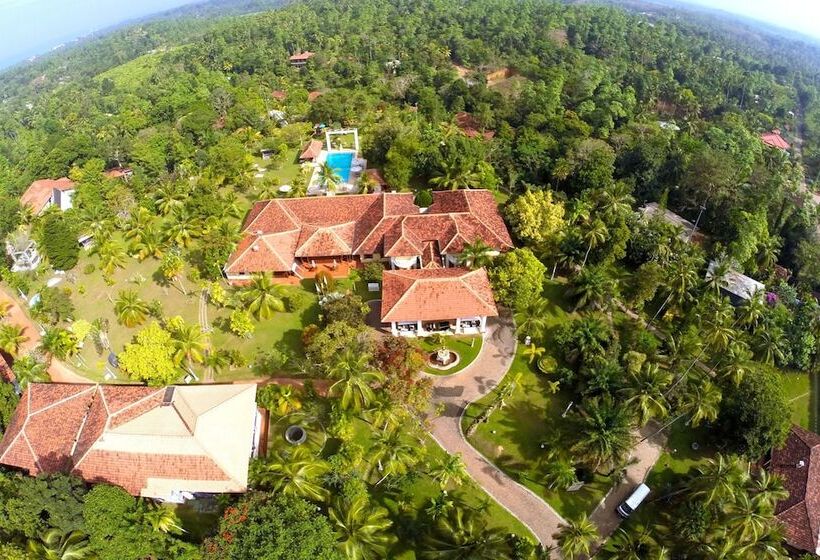 Cocoon Resort & Villas