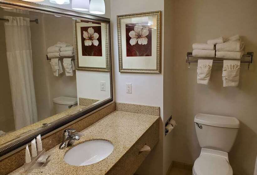 Country Inn & Suites By Radisson, Braselton, Ga