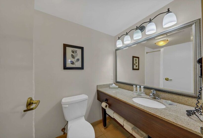 Country Inn & Suites By Radisson, Braselton, Ga