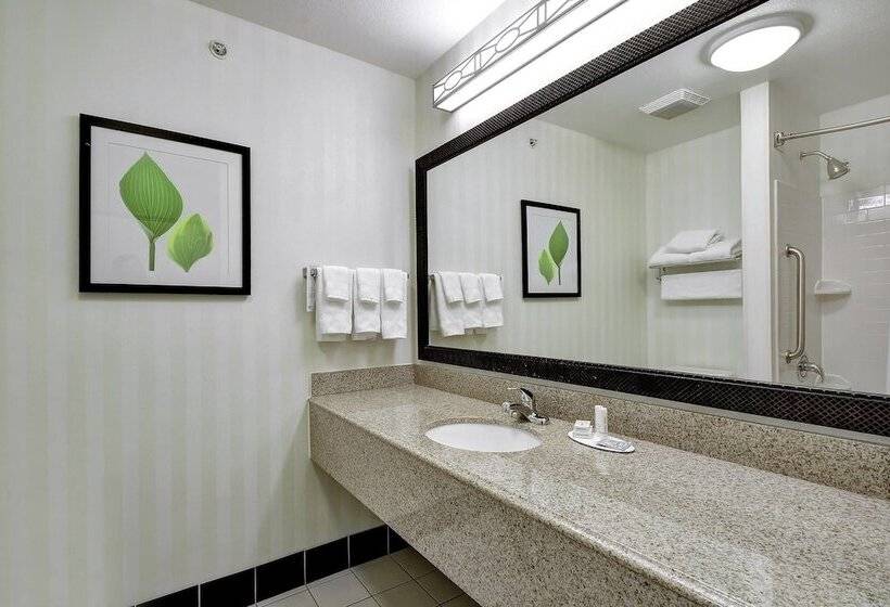 Fairfield Inn And Suites By Marriott San Antonio Boerne