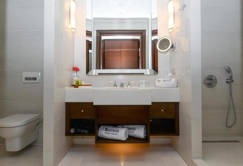 ホテル Barcelo Istanbul