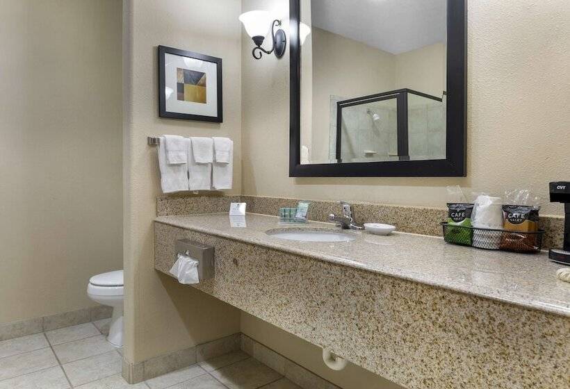 Best Western Franklin Town Center Hotel & Suites