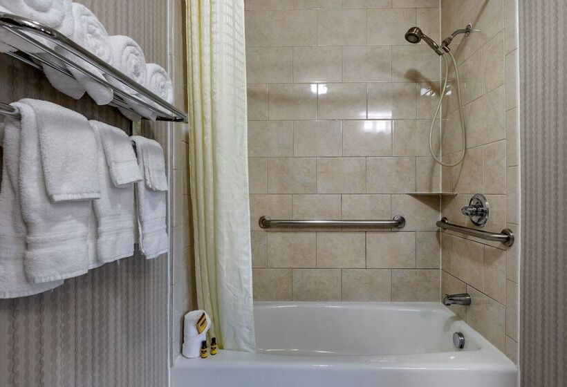 호텔 Best Western Plus Dfw Airport West Euless