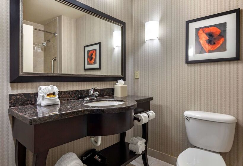 호텔 Best Western Plus Dfw Airport West Euless