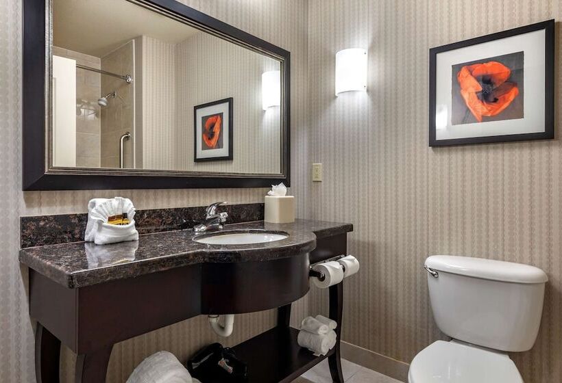 호텔 Best Western Plus Dfw Airport West Euless