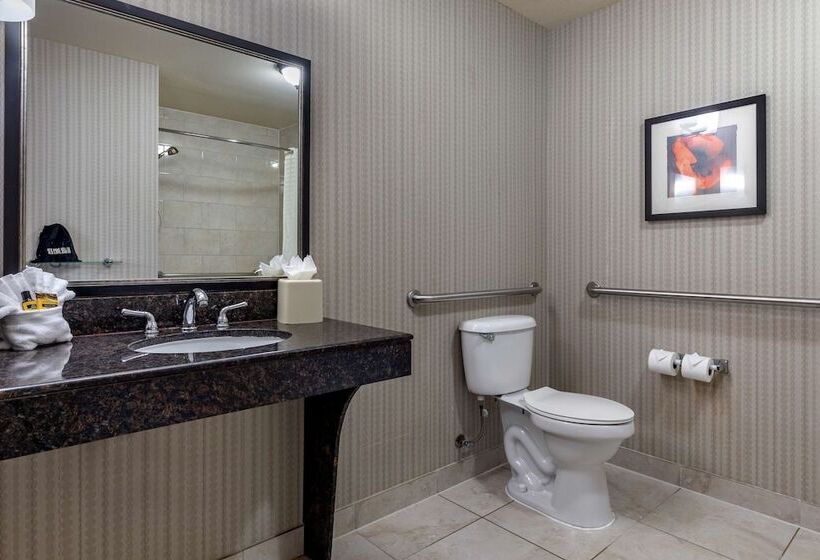 호텔 Best Western Plus Dfw Airport West Euless