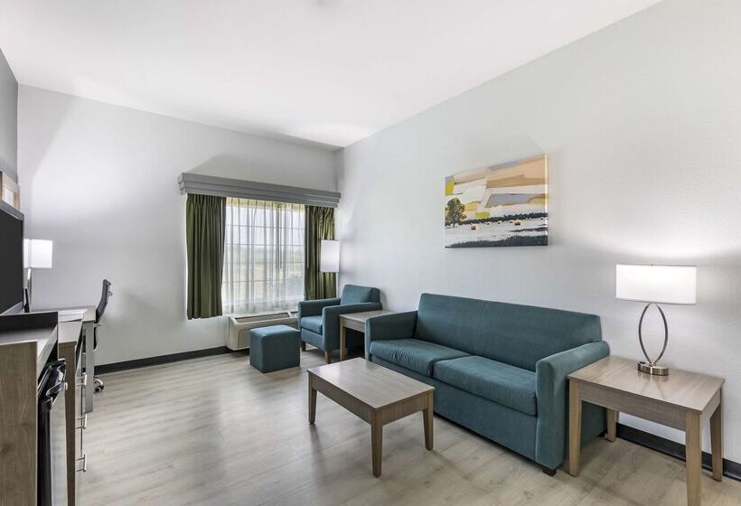 فندق Best Western Plus Midamerica