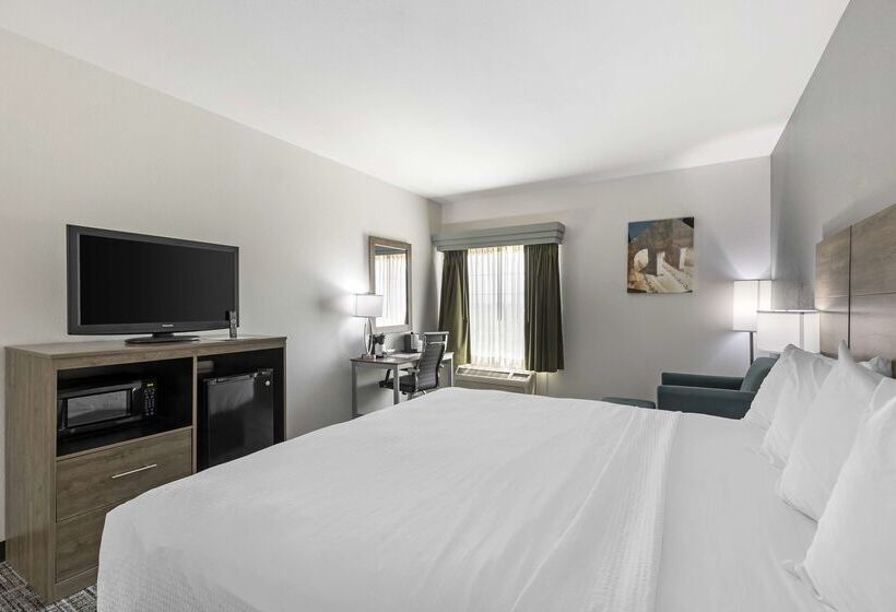 酒店 Best Western Plus Midamerica
