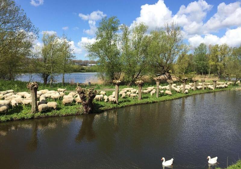 فندق Best Western Plus Midamerica