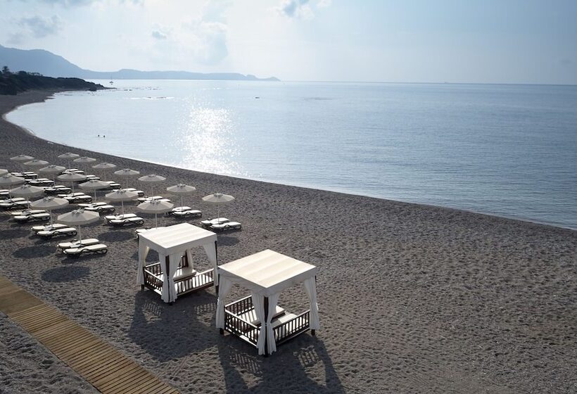 Boutique 5 Hotel & Spa   Adults Only