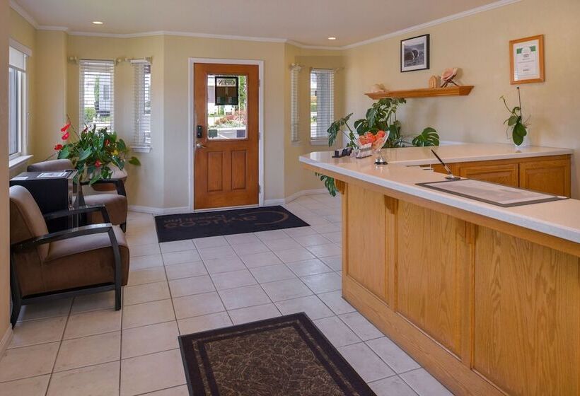 酒店 Cayucos Beach Inn