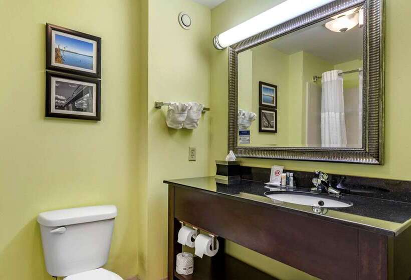 فندق Comfort Inn Athens